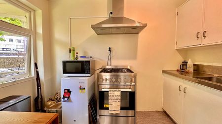 This beauty is such a cutie - Photo 3