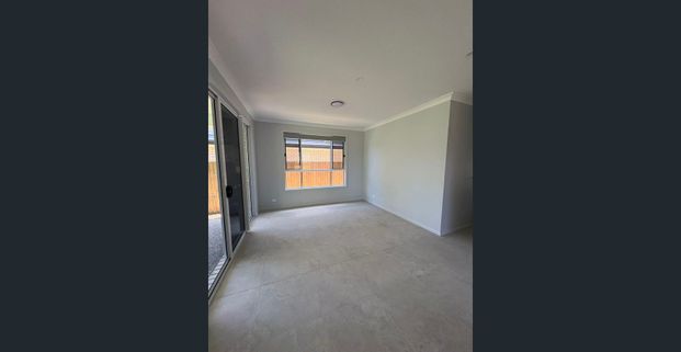 Spacious, brand new family heaven in the Calamvale Community College catchment area. - Photo 1
