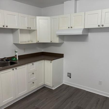 Occasion, beau 41/2, rénové au complet, 750$ - Photo 3