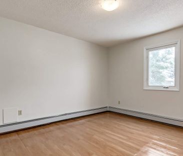 1 Bedroom - Photo 6