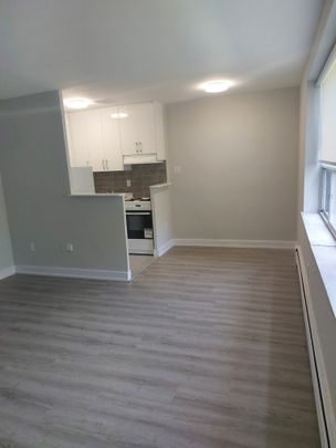 101 Marlee Ave - Photo 1