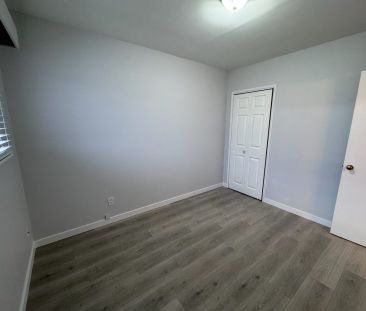 Central – 2 bed, 1 bath main floor suite - Photo 3