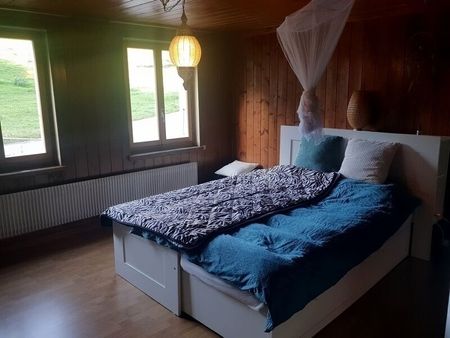 3-ROOM APARTMENT IN NIEDERSCHERLI (BE), FURNISHED, TEMPORARY - Foto 3
