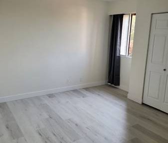 Newly Renovated 1Bed 1 Bath - Photo 2