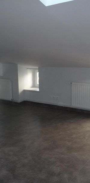 Location Appartement 1 pièce 30m² ST ETIENNE 42100 - Photo 1