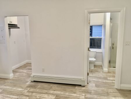 For Lease - 163 Welland Avenue Unit# Rear Unit, St. Catharines, Ontario - Photo 4