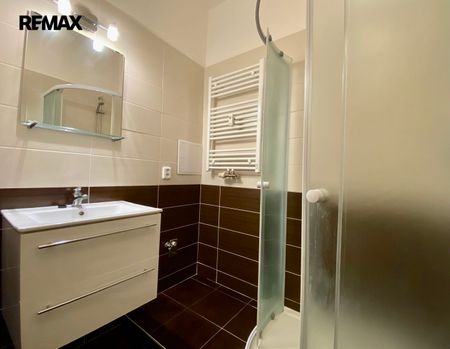 Pronájem bytu 1+1 v osobním vlastnictví 40 m², Praha 6 - Břevnov - Photo 4