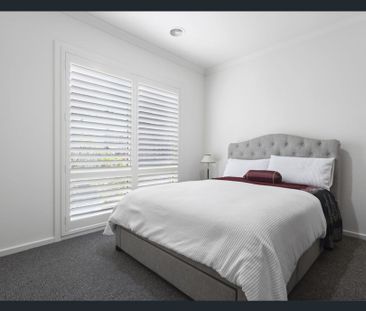 Nature in Hilside - Photo 3