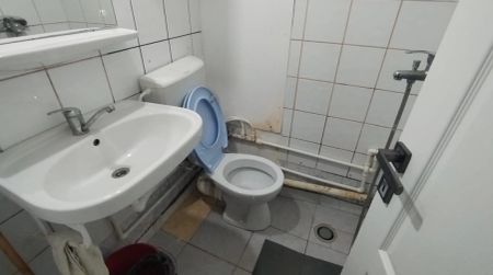 Apartament de inchiriat, 1 camera, decomandat, 28 mp, Podu Ros, Lidl, Cod 159745 - Photo 5