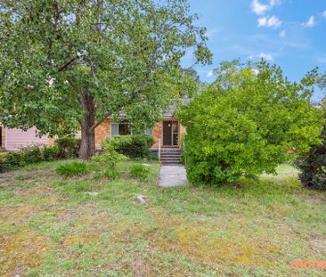 8 Jackson Street, Campbell ACT 2612 - House For Rent | Domain - Photo 3