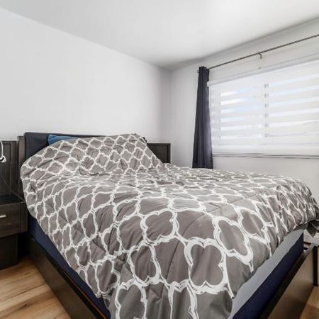 Appartement 3 ½ à louer Beauport janvier 2026 - Photo 3