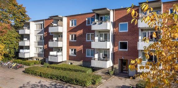 Bangatan, Västerås - Photo 2