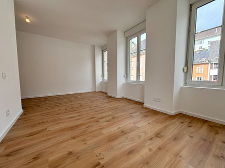 Location Appartement ALTKIRCH 1 240 € CC - Photo 4