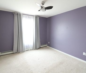 Bright & Stylish 2-Bedroom - Photo 3