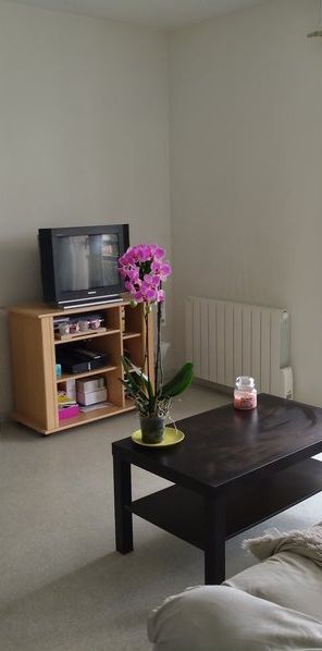 Location Appartement 2 pièces 45m² VILLENEUVE SUR LOT 47300 - Photo 1