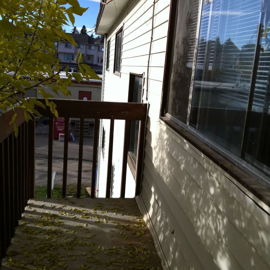 3 Bedrooms,large apartment! Amazing Location! Close to U of C! - Photo 1