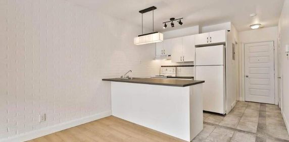 1 CH - 1 SDB - Montréal - $1,295 /mo - Photo 2