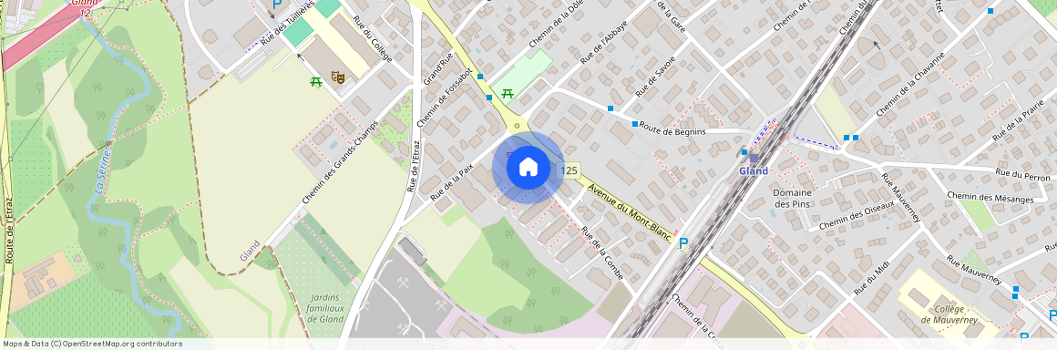 1196, Gland, Rue De La Combe, 15