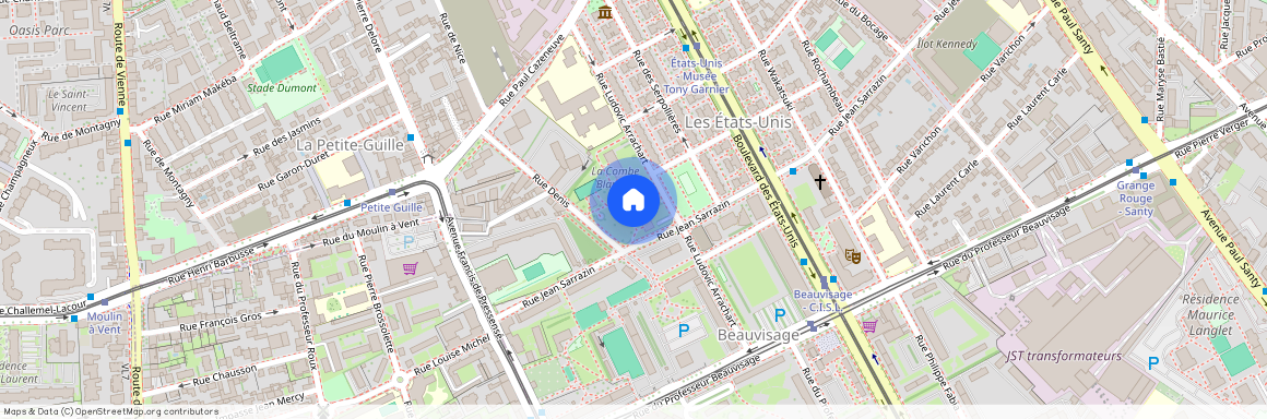 84 rue Jean Sarrazin, LYON, 69008