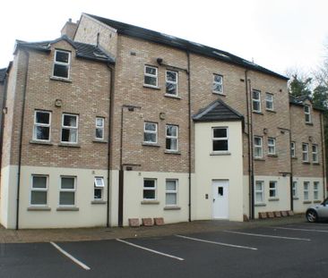 53 Cloonavin Green, Coleraine, BT52 1RG - Photo 6