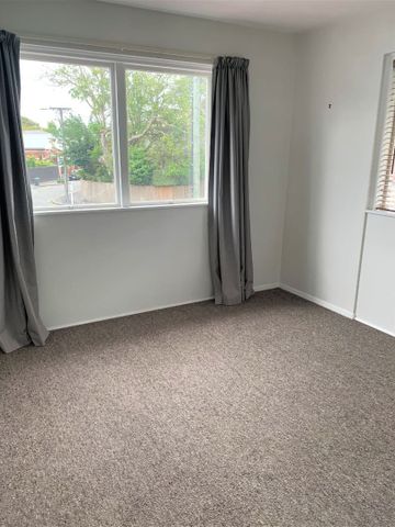 Merivale Unit Across The Road From Hagley Park - Photo 5