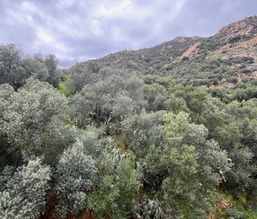 Location Appartement 1 pièce 20m² AJACCIO 20000 - Photo 4