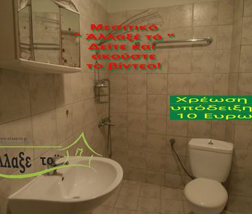 Μονοκατοικία για ενοικίαση Άγιος Παύλος (Άγιος Παύλος) - Photo 6