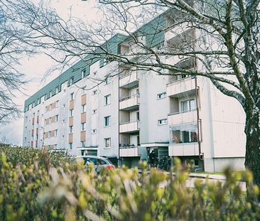 3-Zimmer-Wohnung gewünscht? - Foto 1