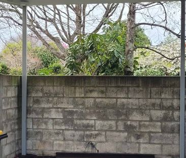 Coming Soon Watch This Space!!! - Photo 1