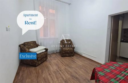 Antony Estate | Apartament de închiriat, 1 Camera, Ultra-Central, Oradea - Fotografie 5