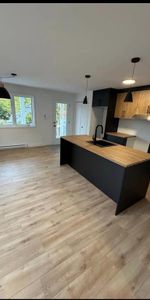 Tres bel appartement 2 chambres et 1 salle de bain - Photo 4