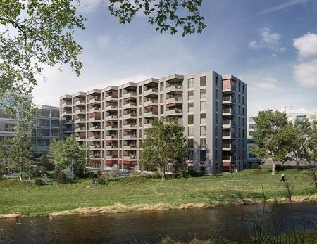 Your new oasis of well-being right on the Sihl! - Photo 2