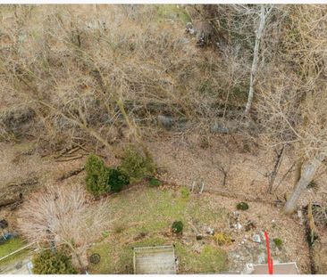 For Lease - 26 Anola Place, Toronto, Ontario - Photo 2