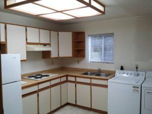 $950 / 1br – 920ft2 – Spacious 1 Br Bsmt Suite in Port Moody (Port Moody) - Photo 4