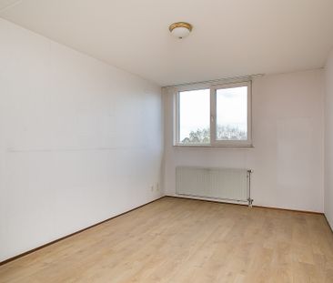 Pisastraat, 43, 's-hertogenbosch - Foto 4