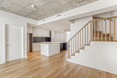 Condo for rent, Montréal (Rosemont/La Petite-Patrie) - Photo 4