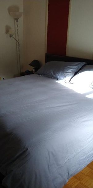 Sous-Location 41/2 * Sublet 2BDR 3-4-5-6 mois-months Ville-Marie - Photo 1
