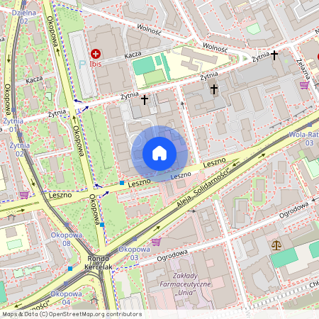 ul. Leszno, Nowolipki, Wola, Warszawa, mazowieckie