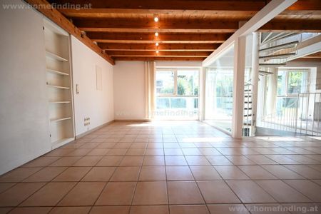 Wohnen bei der Alten Donau: sonniges Einfamilienhaus - 4 Schlafzimmer - Foto 3