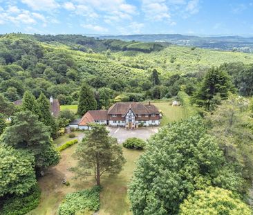 Marley Common, Haslemere - 5 bedrooms Property for lettings - Seymours - Photo 4