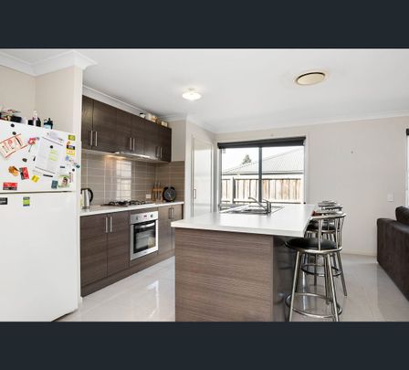 29 Teal Street, Aberglasslyn, NSW 2320 - Photo 1