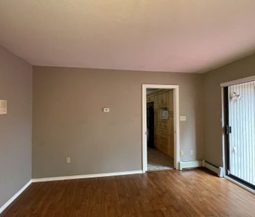 Sophisticated and Well Maintained Four Bedroom Rancher - Photo 3