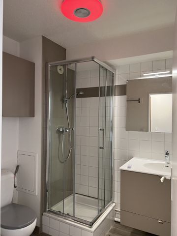 Location Appartement 1 pièce 21m² STRASBOURG 67000 - Photo 4