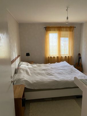 Fågelvägen, Äng - Photo 1