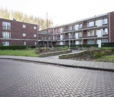 Jaargetijden 52 - Photo 5