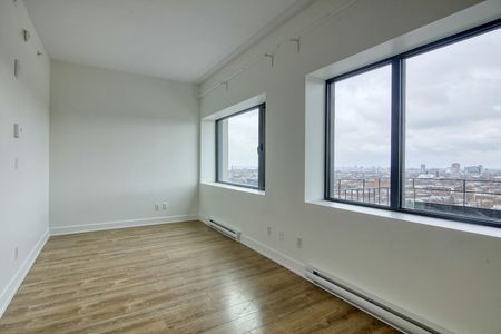 30 Saint-Joseph Est, Montréal, QC - Photo 5