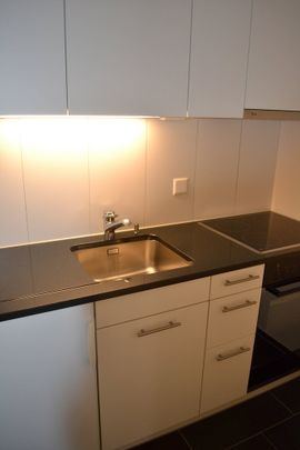 2 ½ Zimmer-Wohnung, 8126 Zumikon - Foto 1