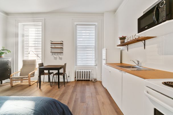 Beau grand studio meublé, salle de bain commune, rue Parvis - Photo 1