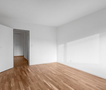 "Volltreffer!" - Foto 2