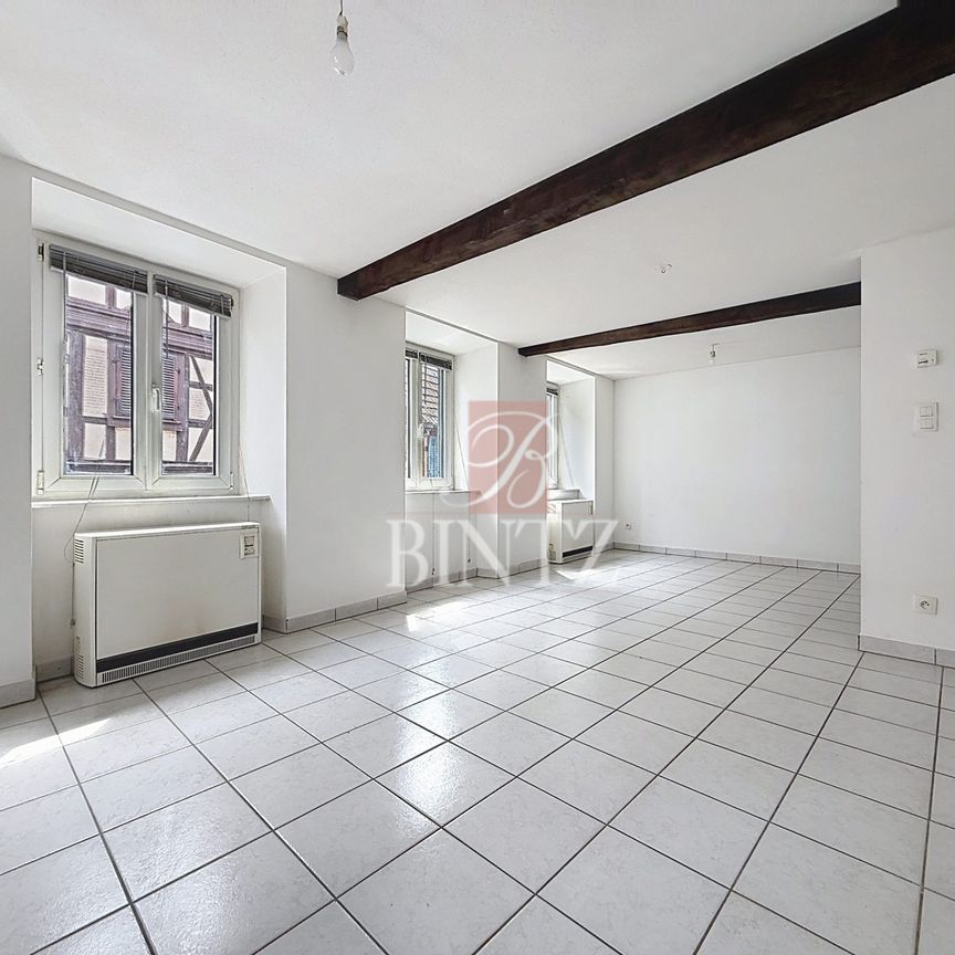 Location Appartement 3 pièces 74m² OBERNAI 67210 - Photo 1